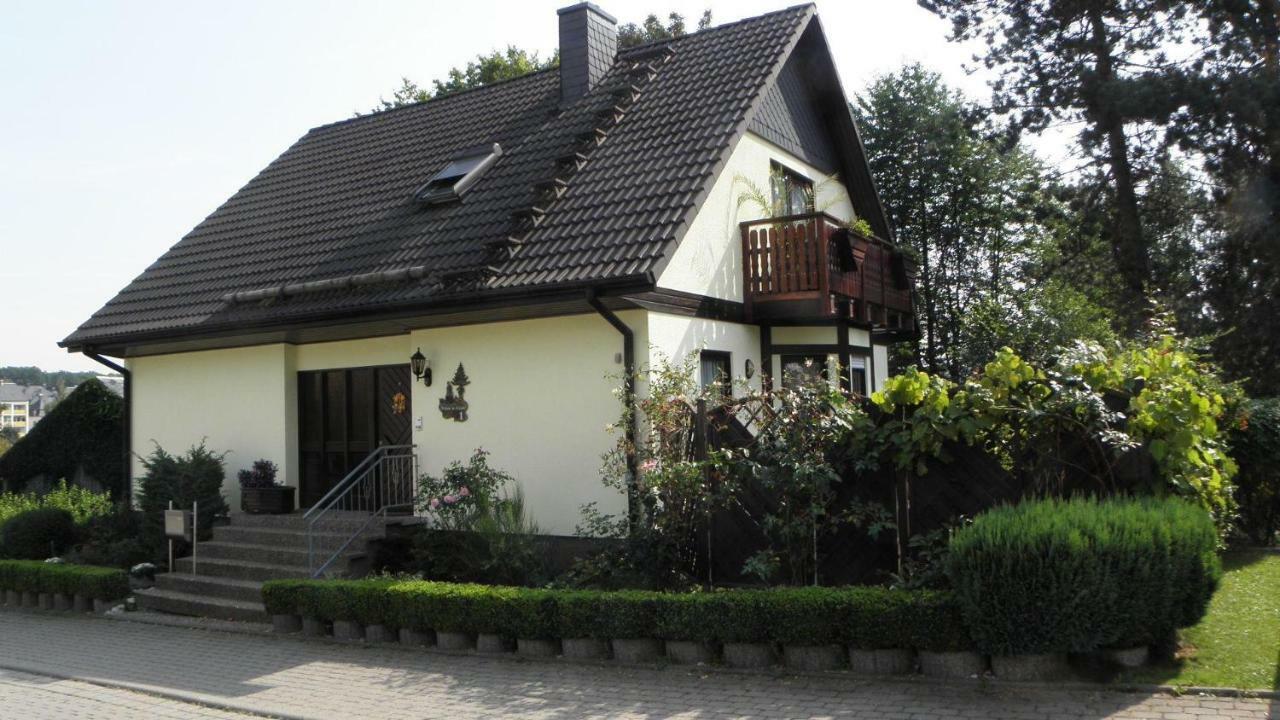 Schmidt 2 * Gelenau